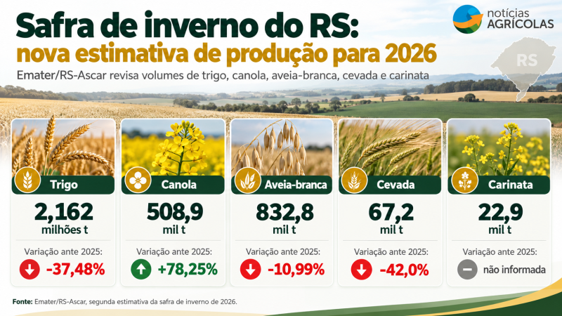 Safra de Inverno do RS 2026