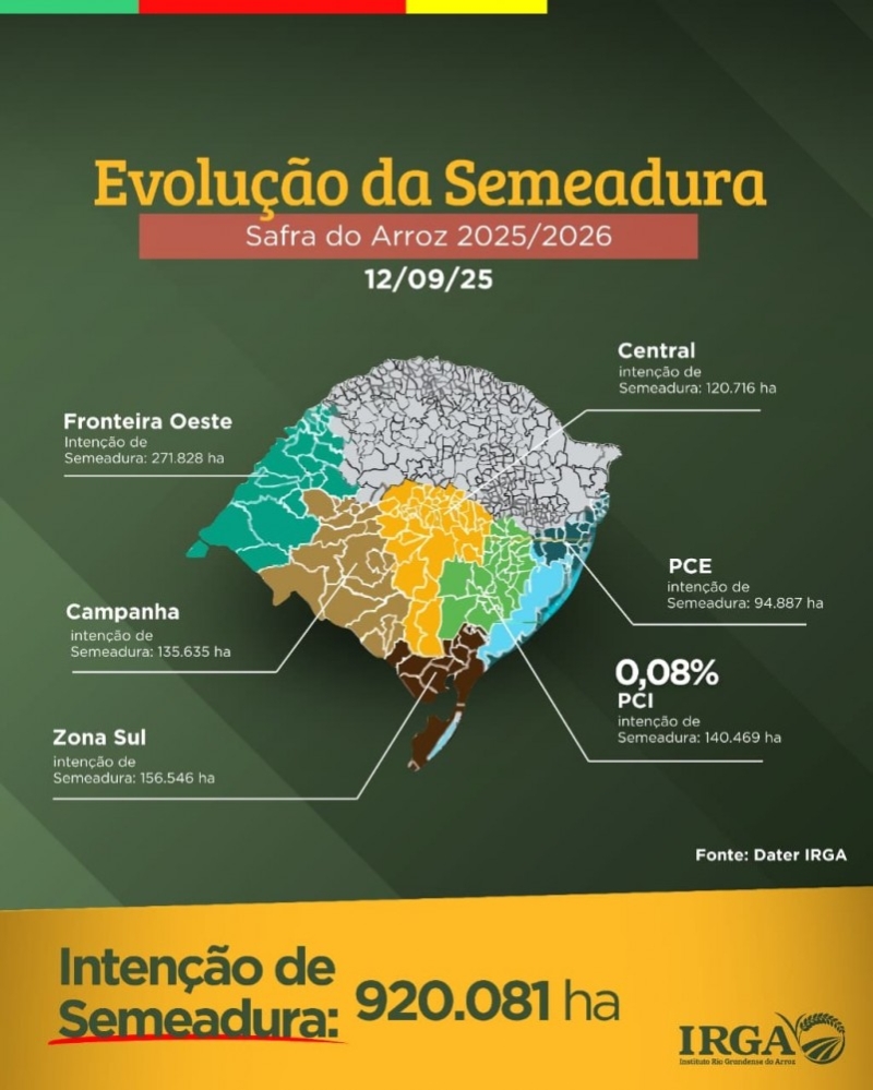 semeadura arroz rs irga