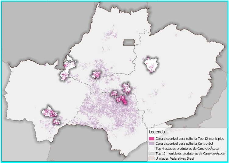 Serasa - Cana de Açúcar (1)