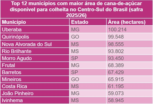 Serasa - Cana de Açúcar (2)