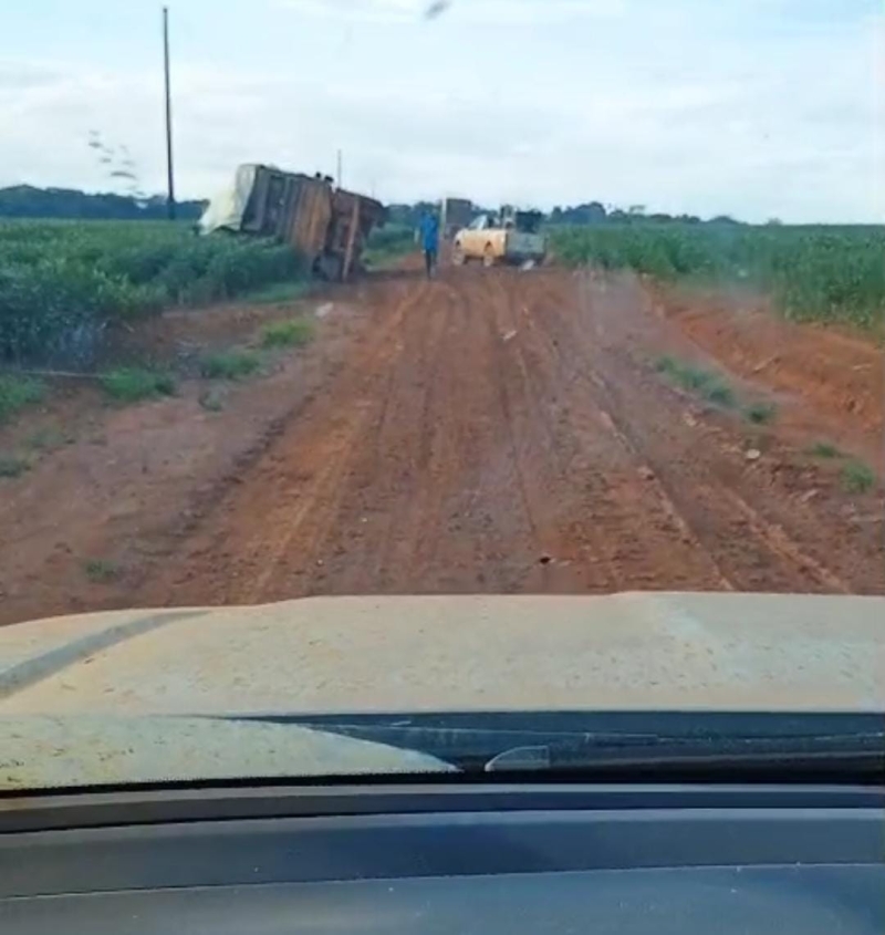 Soja Avariada - MT - Fevereiro  (2)