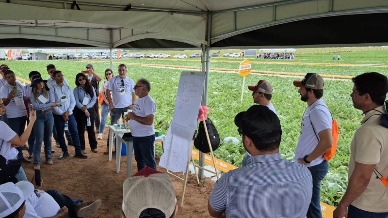 Tecshow Melancia realizado em Teixeira de Freitas