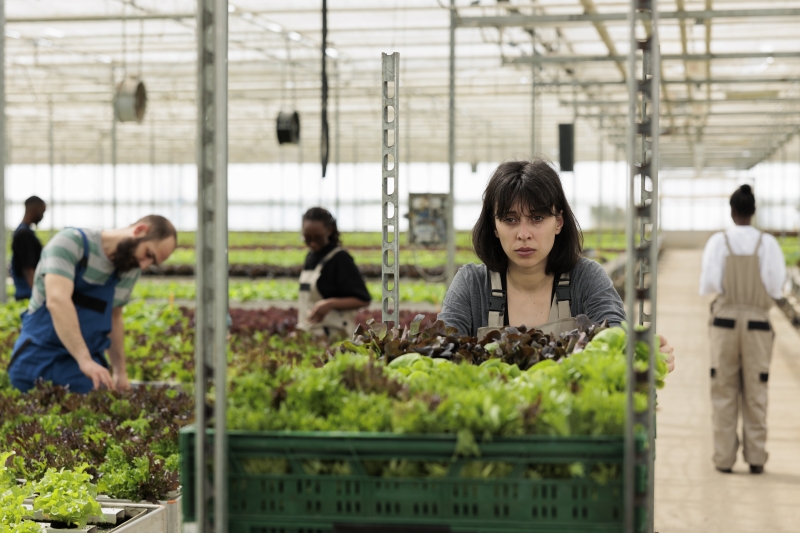 tired-greenhouse-worker-pushing-rack-of-crates-wit-2026-01-08-02-25-11-utc