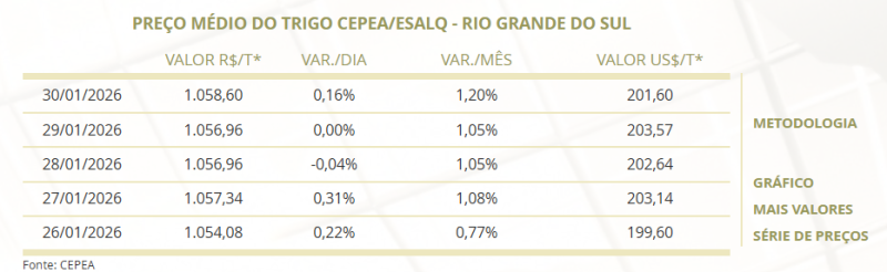 Trigo Rio Grando do Sul