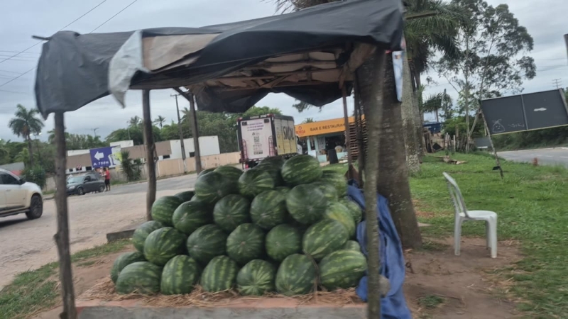 venda de melancia Teixeira de Freitas