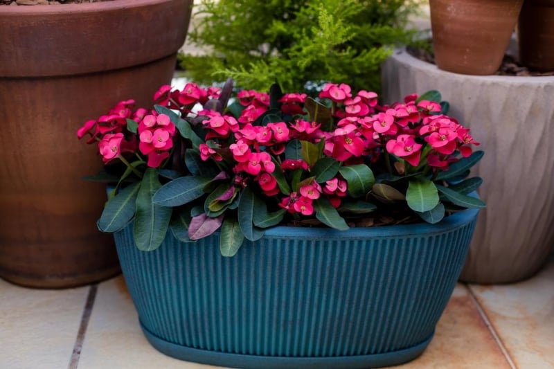 WhatsApp Image 2025-03-17 at 11.27.43