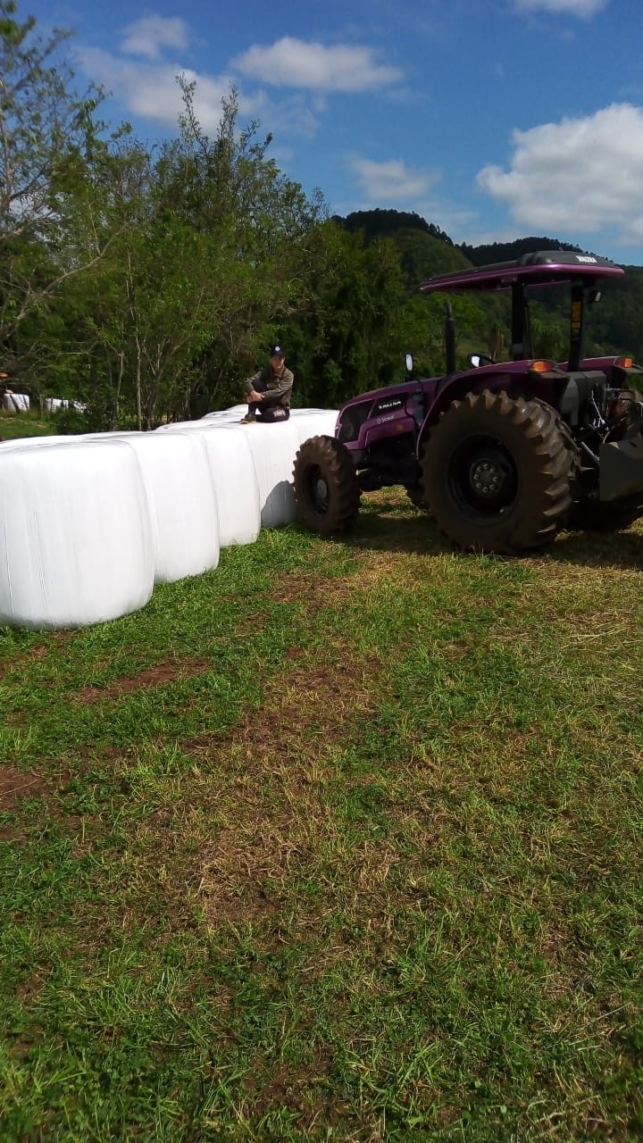 WhatsApp Image 2025-05-06 at 20.52.44