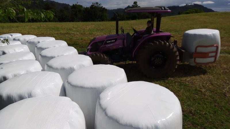 WhatsApp Image 2025-05-06 at 20.53.25