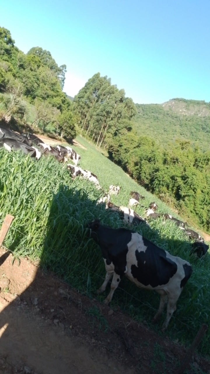 WhatsApp Image 2025-05-06 at 20.54.34