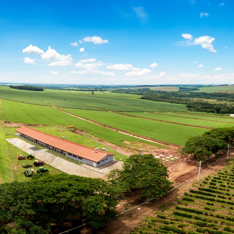 WhatsApp Image 2025-05-19 at 14.35.53