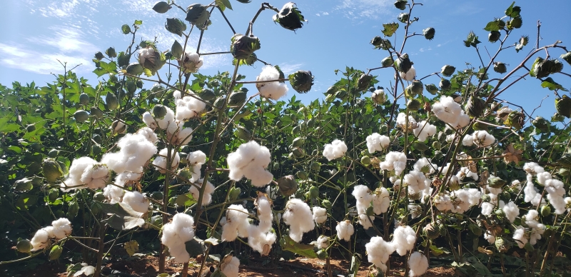 WhatsApp Image 2025-05-29 at 12.27.05 (1)