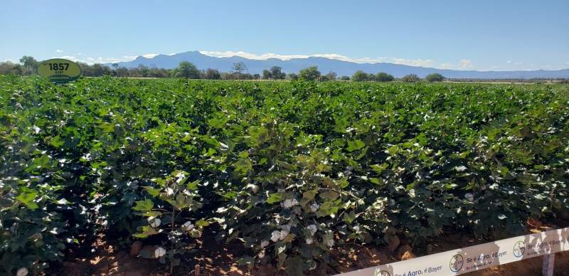 WhatsApp Image 2025-05-29 at 12.27.05 (2)