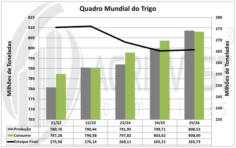 WhatsApp Image 2025-05-29 at 15.04.02