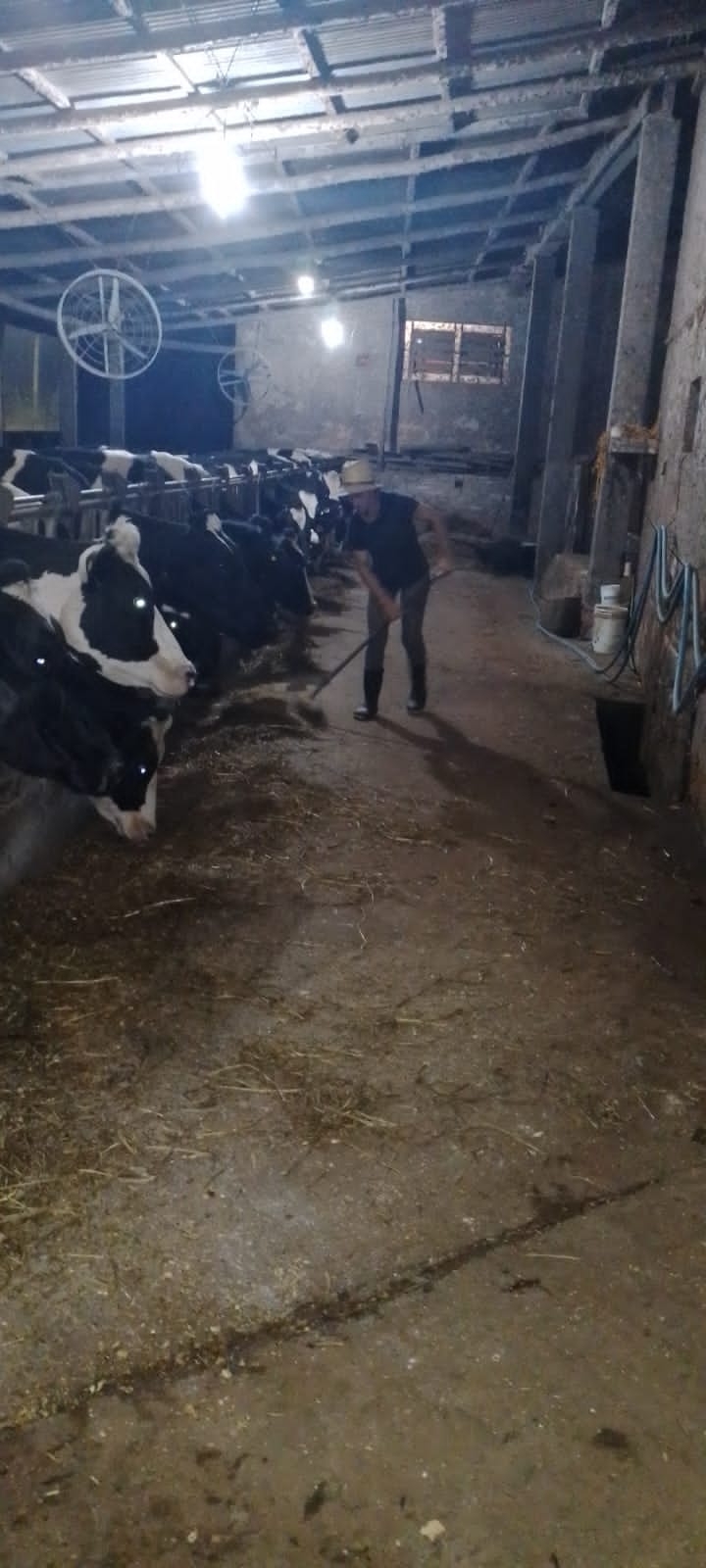 WhatsApp Image 2025-06-01 at 06.16.25