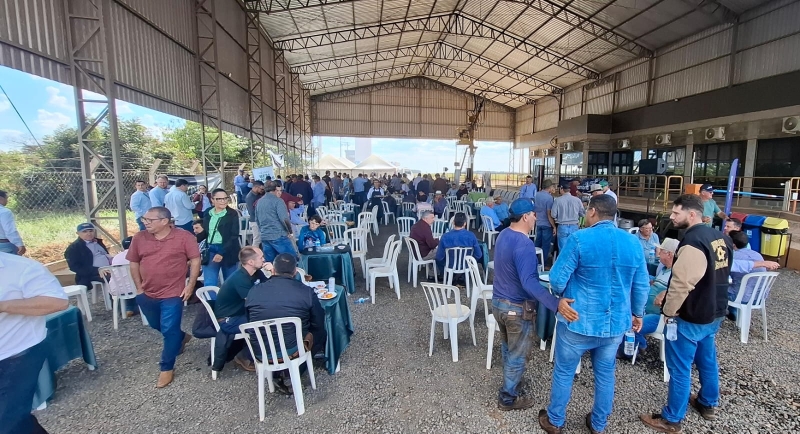 WhatsApp Image 2025-07-11 at 13.43.54