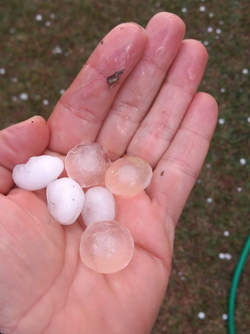 WhatsApp Image 2025-07-28 at 10.45.53