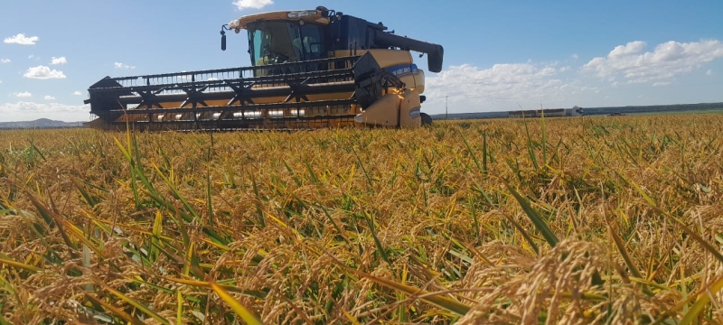 WhatsApp Image 2025-09-08 at 21.00.36