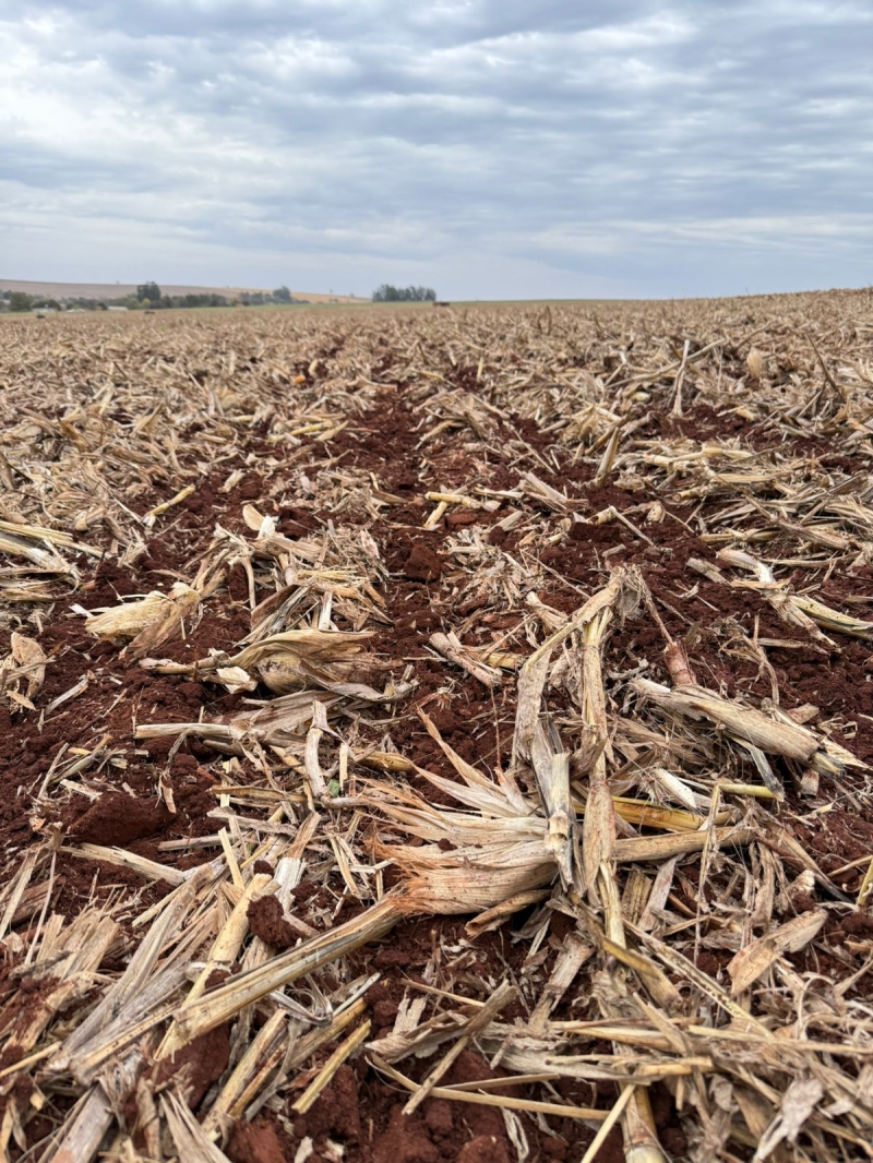 WhatsApp Image 2025-09-11 at 09.24.23 (1)