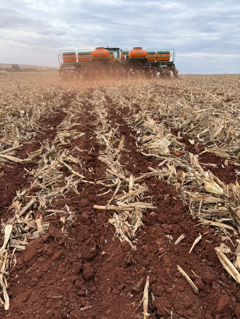 WhatsApp Image 2025-09-11 at 09.24.24 (2)