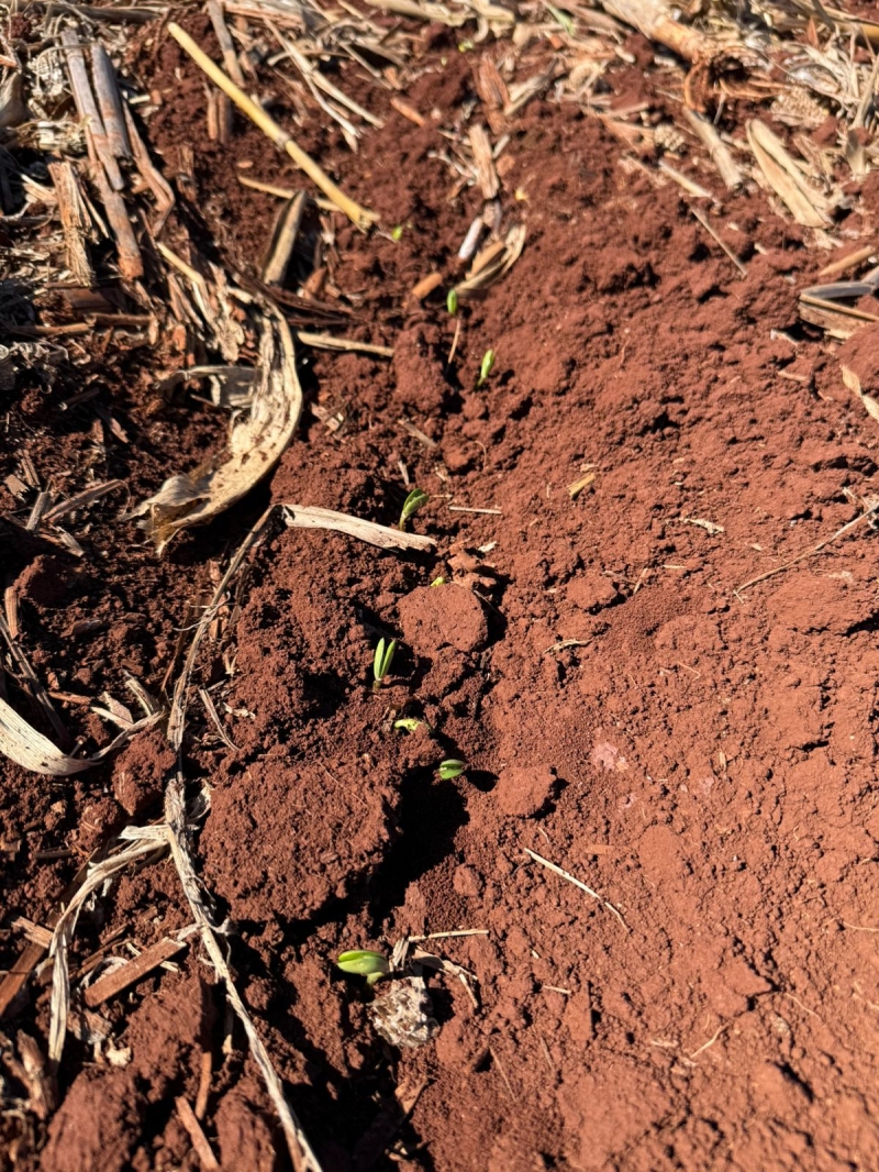 WhatsApp Image 2025-09-11 at 09.24.56