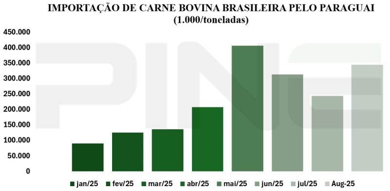 WhatsApp Image 2025-09-24 at 14.05.41 (2)