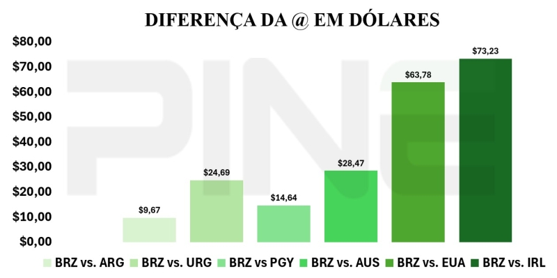 WhatsApp Image 2025-09-24 at 14.08.15 (2)