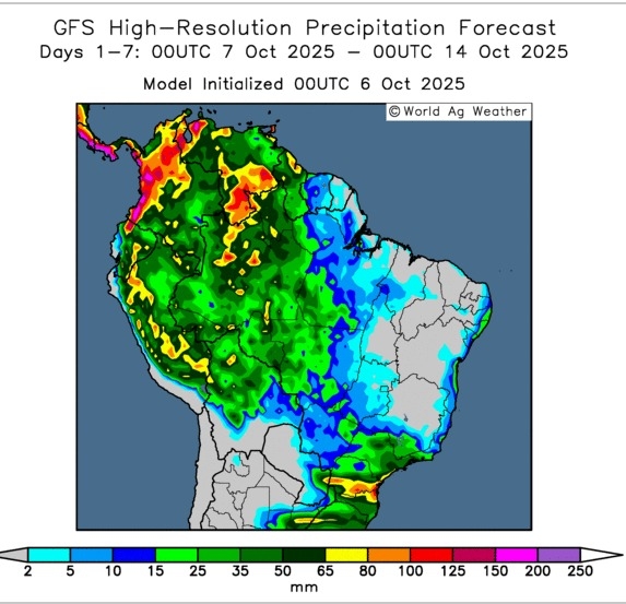 WhatsApp Image 2025-10-08 at 16.05.56 (1)