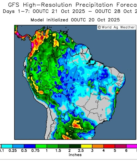 WhatsApp Image 2025-10-22 at 15.32.02