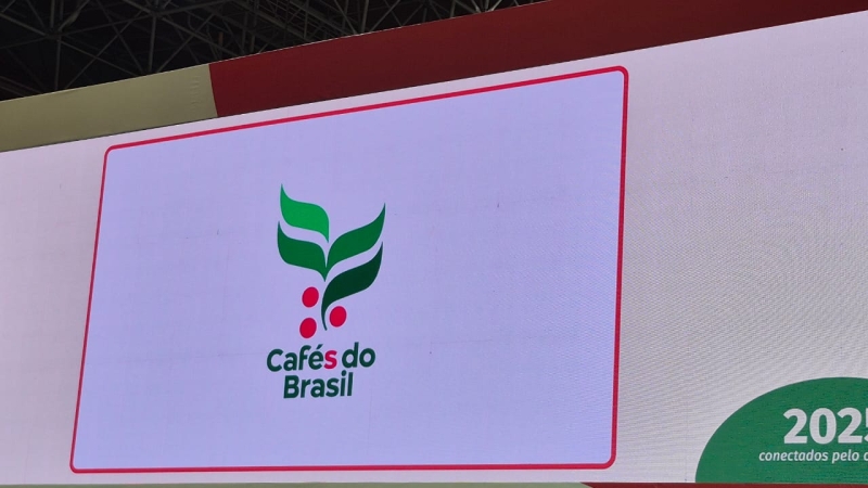 WhatsApp Image 2025-11-05 at 13.30.25