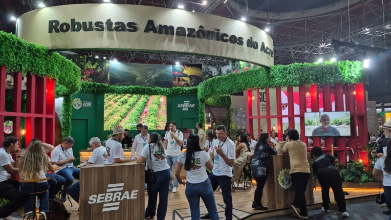 WhatsApp Image 2025-11-05 at 23.53.41