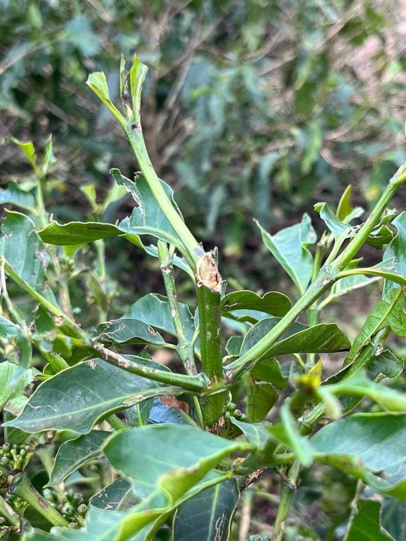 WhatsApp Image 2025-11-07 at 11.57.14 (2)