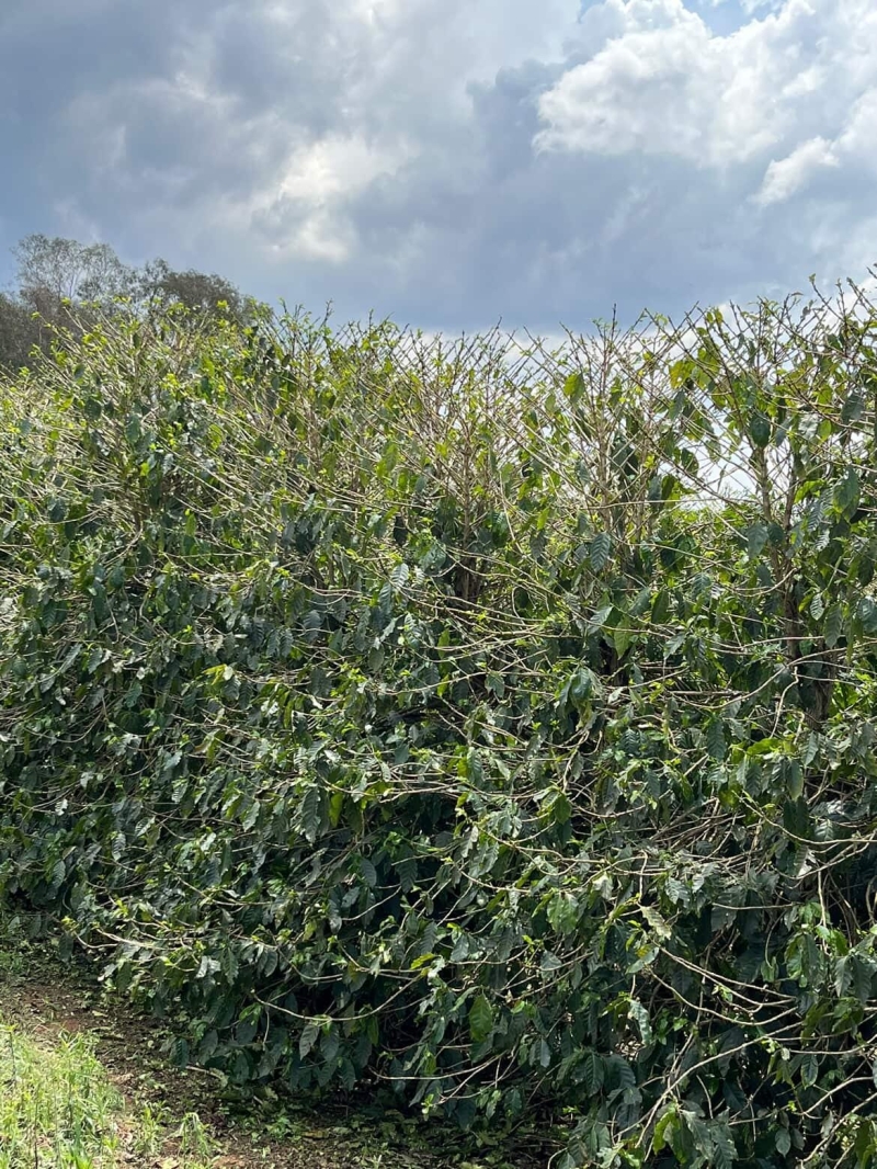 WhatsApp Image 2025-11-07 at 11.57.15