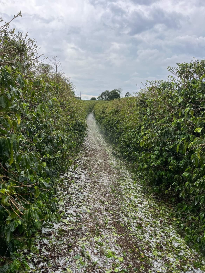 WhatsApp Image 2025-11-07 at 11.57.16 (1)