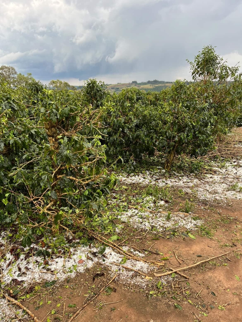 WhatsApp Image 2025-11-07 at 11.57.16 (2)