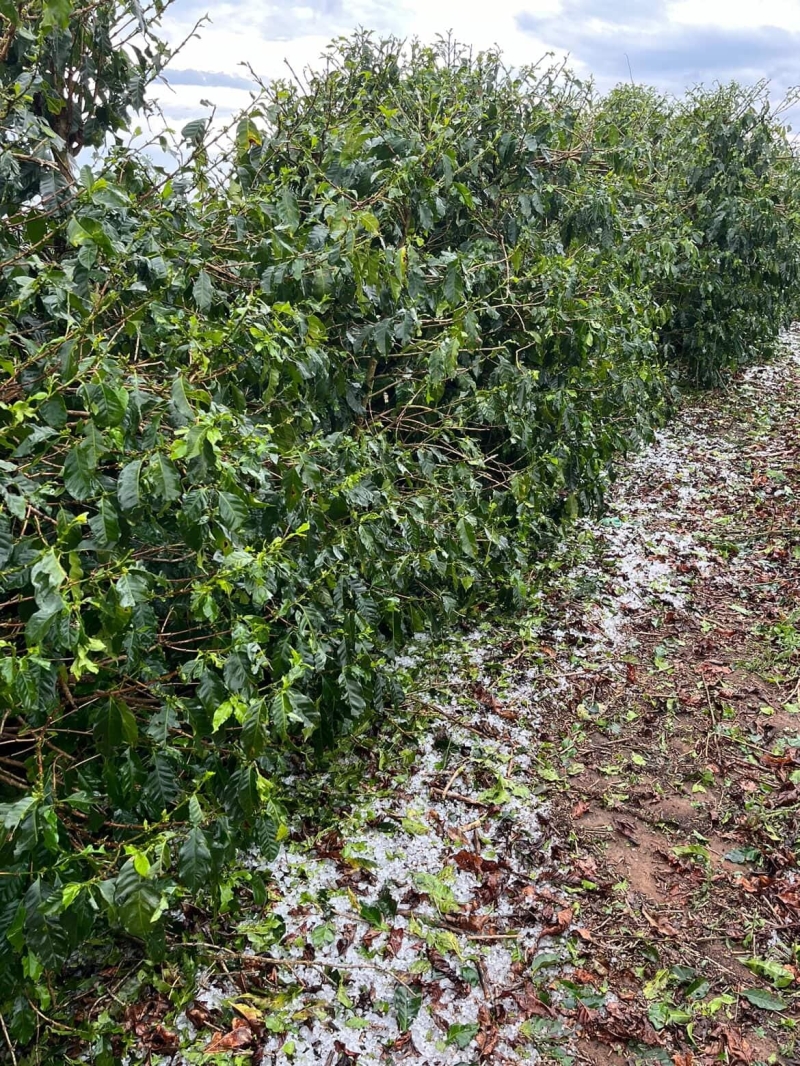 WhatsApp Image 2025-11-07 at 11.57.16