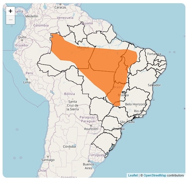 WhatsApp Image 2025-12-19 at 10.06.31