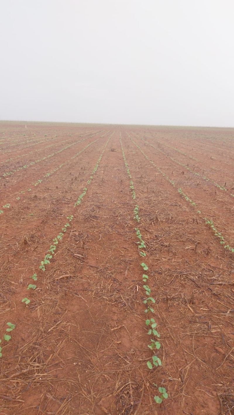 WhatsApp Image 2026-02-05 at 14.38.23