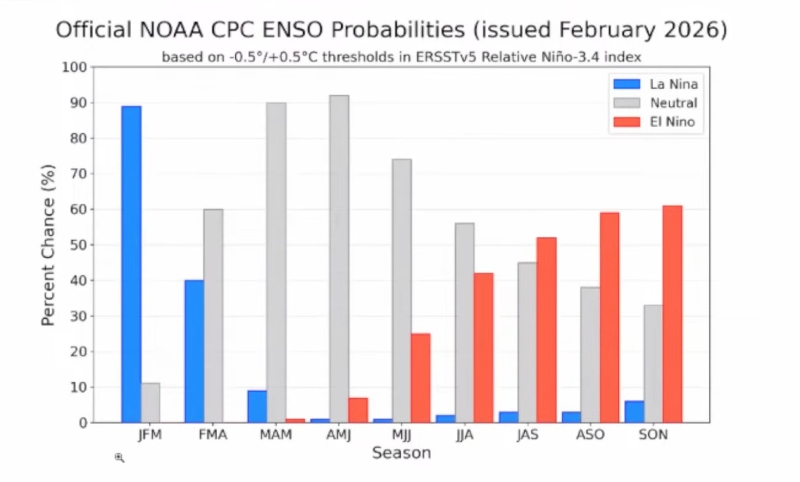 WhatsApp Image 2026-02-16 at 09.40.55