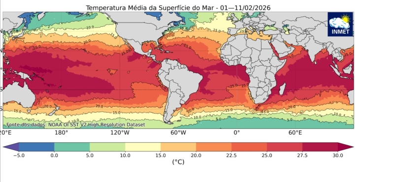 WhatsApp Image 2026-02-16 at 10.10.25