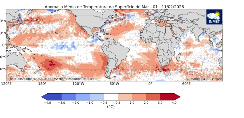 WhatsApp Image 2026-02-16 at 10.10.52