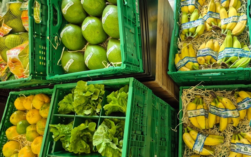 WhatsApp Image 2026-03-18 at 13.48.00 (1)