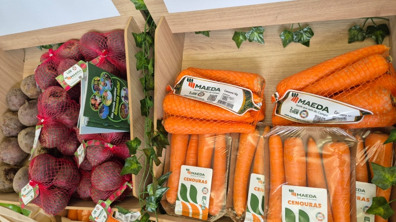 WhatsApp Image 2026-03-18 at 13.48.02