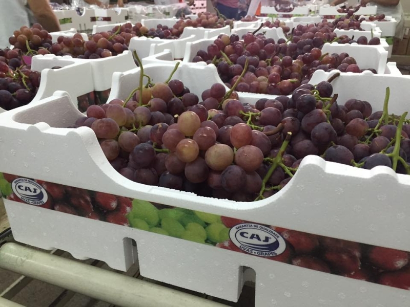 WhatsApp Image 2026-04-02 at 11.02.20