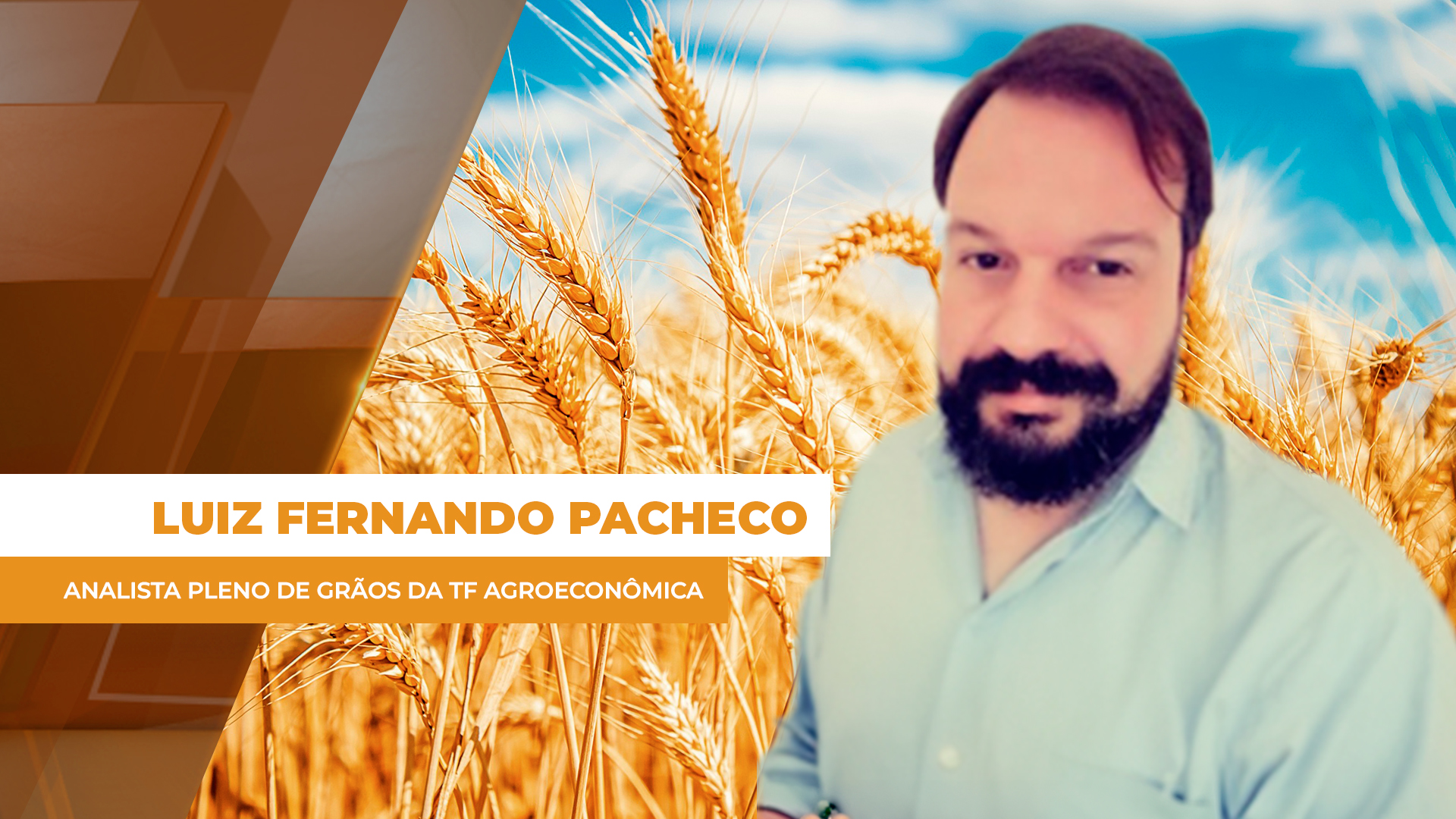 Trigo em alta: o que está por trás dos preços?