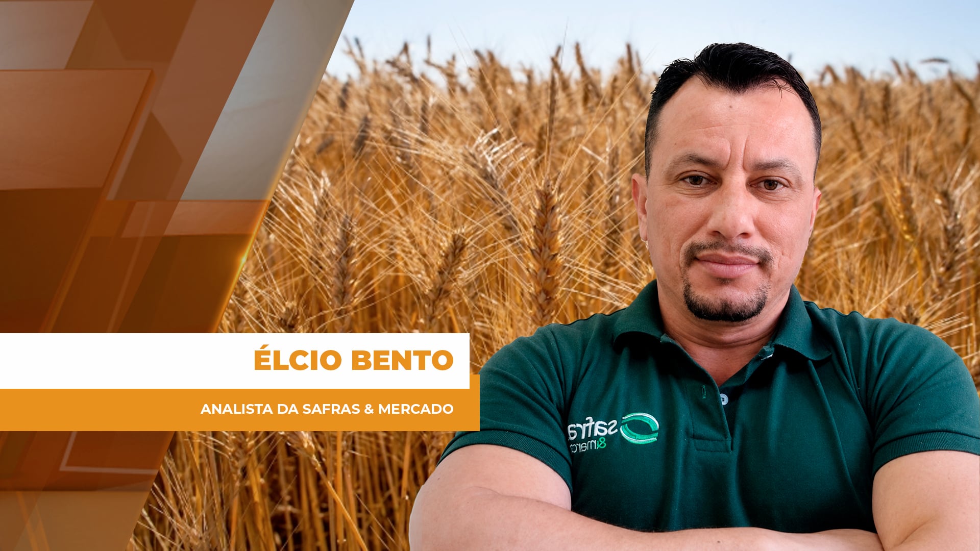 Trigo inicia safra sob pressão entre clima, custos altos e incertezas globais