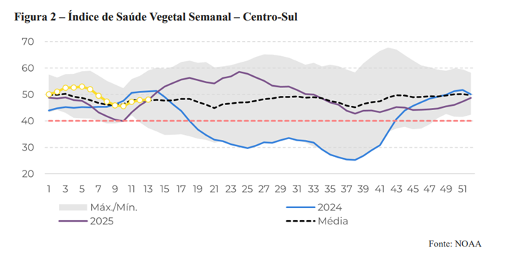 Safra robusta no Centro-Sul e oferta global elevada devem manter pressão sobre preços do açúcar