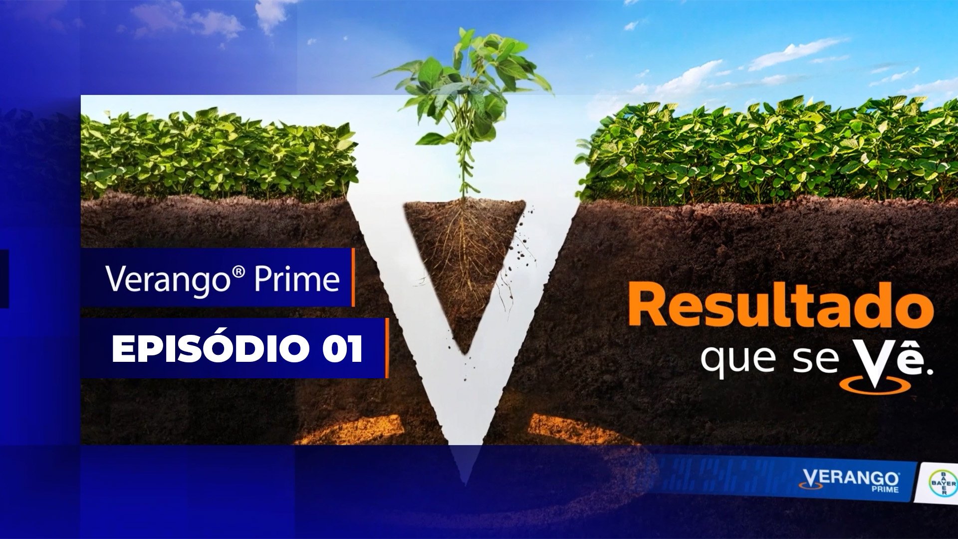 Episódio 1 - O inimigo invisível: o que são os nematoides e seus impactos Episódio 1 - O inimigo invisível: o que são os nematoides e seus impactos