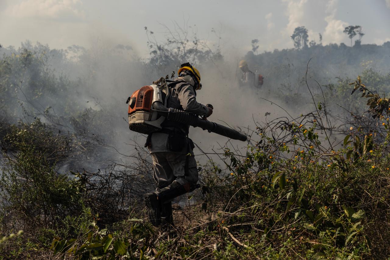 Volume de fogo no Pará leva produtores a se tornarem brigadistas