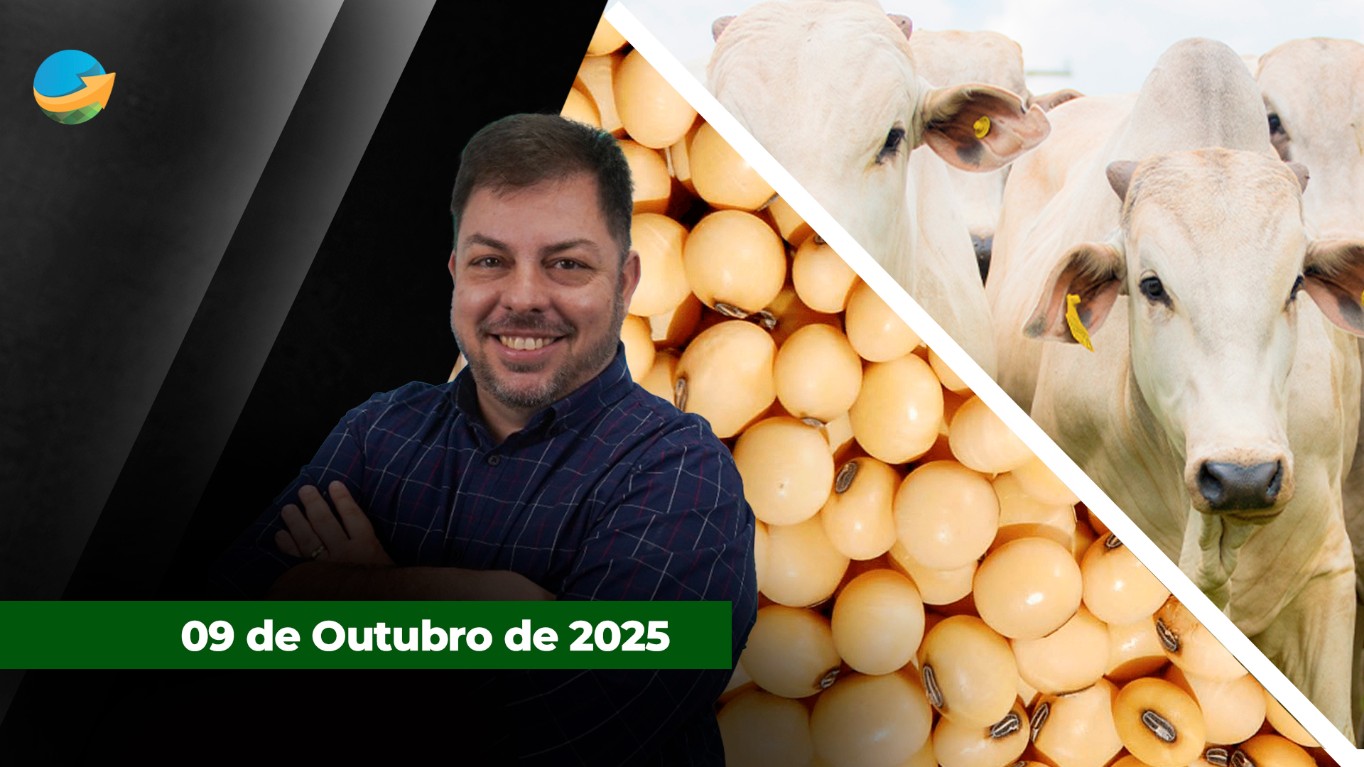 Dia morno para os negócios com boi e soja, ambos a espera de notícias novas e poucas alterações