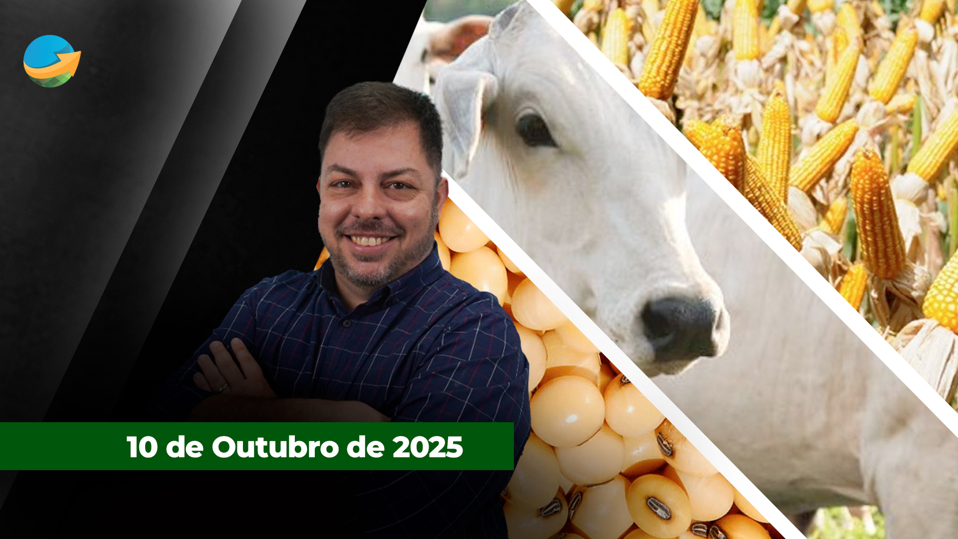 Soja recua em Chicago com relações estremecidas entre China e EUA; Milho sobe na B3 com alta do dólar e arroba do boi reage na semana
